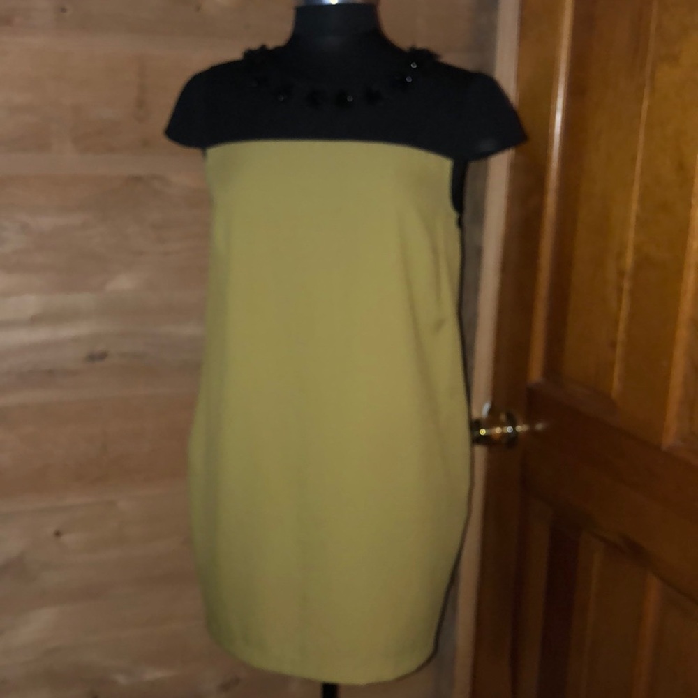 Darling Dress black / spicy mustard : olive green size Medium pockets